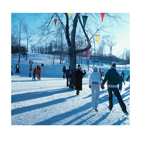 ice skating in verbal behavior  category